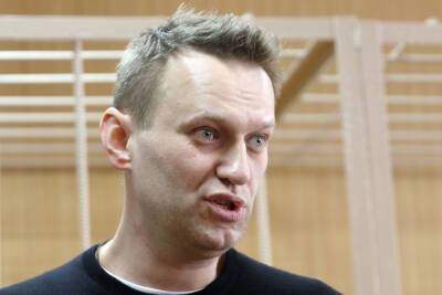 Алексей Навальный - Дмитрий Песков - Песков ответил на вопрос о возможности помилования Навального - mk.ru - Москва - Россия - Владимирская обл.