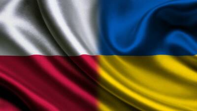 Международный секс-скандал: польский депутат категорически отказалась укреплять дружбу с Украиной - newdaynews.ru - Украина