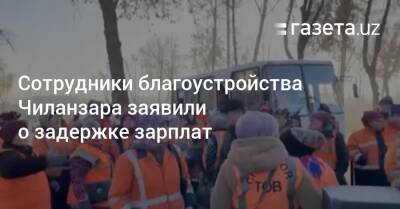 Сотрудники благоустройства Чиланзара заявили о задержке зарплат - gazeta.uz - Узбекистан - Ташкент - район Учтепинский - район Чиланзарский, Ташкент