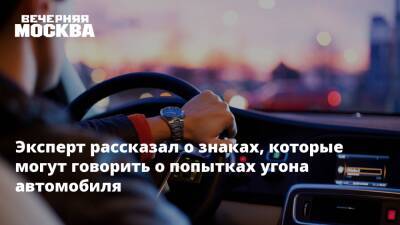 Эксперт рассказал о знаках, которые могут говорить о попытках угона автомобиля - vm.ru