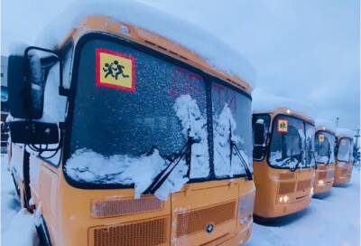 Юрий Намлиев - В Лужском районе закупили новые школьные автобусы - online47.ru - район Лужский
