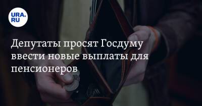 Депутаты просят Госдуму ввести новые выплаты для пенсионеров - ura.news - Россия - респ. Татарстан