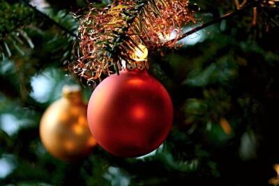 Флорист назвала модные цвета для украшения новогодней елки к 2022 году - novos.mk.ru