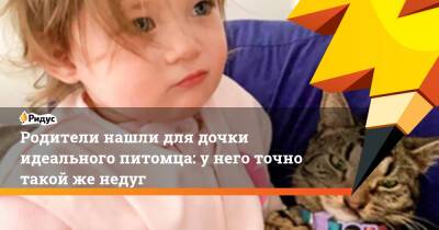 Родители нашли для дочки идеального питомца: у него точно такой же недуг - ridus.ru