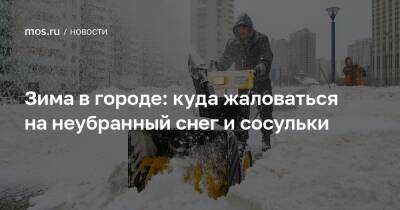 Зима в городе: куда жаловаться на неубранный снег и сосульки - mos.ru - Москва