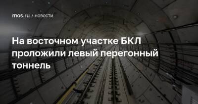 Андрей Бочкарев - Юрий Кравцов - На восточном участке БКЛ проложили левый перегонный тоннель - mos.ru - Москва