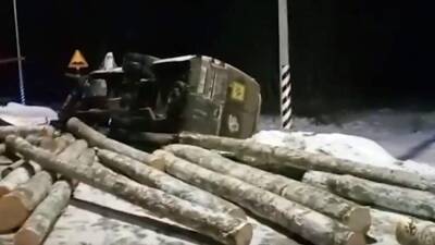 Опубликовано видео с места ДТП с автобусом с детьми в Ярославской области - iz.ru - Израиль - Ярославская обл.