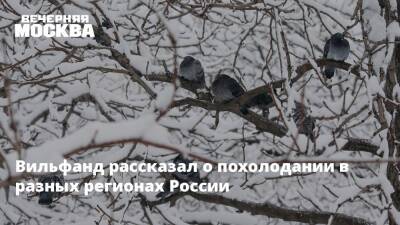 Роман Вильфанд - Вильфанд рассказал о похолодании в разных регионах России - vm.ru - Россия - Красноярский край - Московская обл. - респ. Коми - Ханты-Мансийск - окр. Янао - окр.Ненецкий - республика Карелия