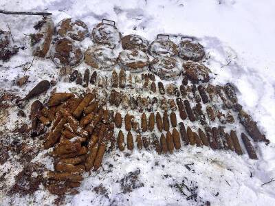 Мины, снаряды, гранаты. В Смоленской области уничтожили 562 взрывоопасных предметов - rabochy-put.ru - Смоленская обл. - район Духовщинский