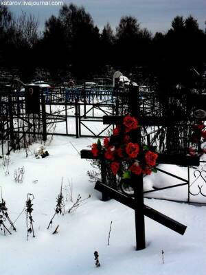 В Димитровграде нашли землю под новое кладбище - ulpravda.ru - Ульяновская - Димитровград