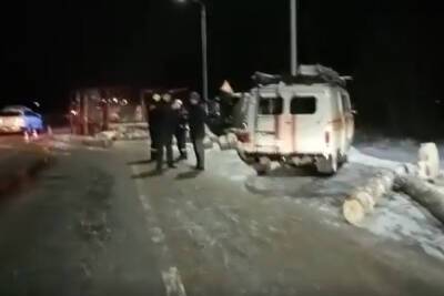 Михаил Евраев - Появились подробности о состоянии детей, попавших в ДТП с лесовозом под Ярославлем - mk.ru - Московская обл. - Ярославская обл. - Ярославль - Солнечногорск