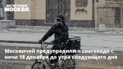 Москвичей предупредили о снегопаде с ночи 18 декабря до утра следующего дня - vm.ru - Москва - Россия - Москва