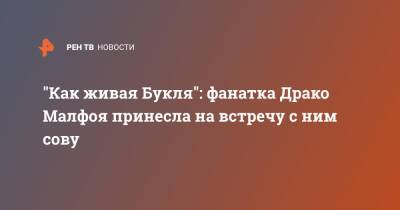 Гарри Поттер - Томас Фелтон - "Как живая Букля": фанатка Драко Малфоя принесла на встречу с ним сову - ren.tv