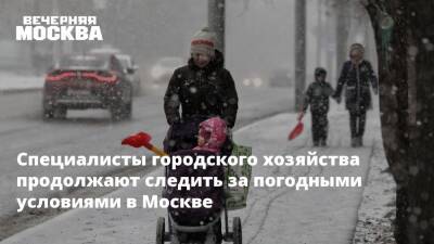 Специалисты городского хозяйства продолжают следить за погодными условиями в Москве - vm.ru - Москва - Москва