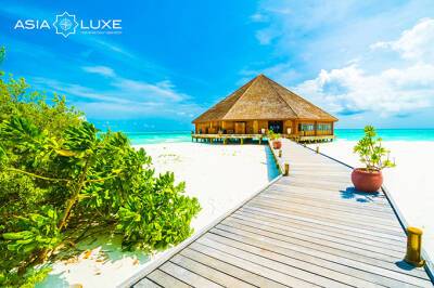 Без визы и ограничений: Asialuxe Travel предлагает выгодные турпакеты на Мальдивы - gazeta.uz - Узбекистан - Мальдивы