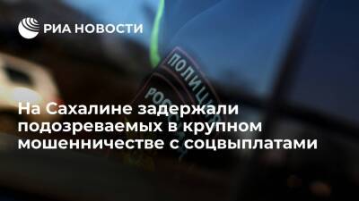 Ирина Волк - На Сахалине задержали подозреваемых в хищении почти 20 миллионов рублей из госбюджета - ria.ru - Россия - Сахалинская обл. - Южно-Сахалинск - Сахалин