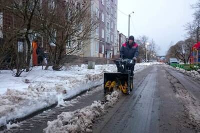 Власти Горбунков продолжают умалчивать сведения о смене статуса поселения, кивая при этом на областные комитеты - mk.ru - Ленинградская обл.