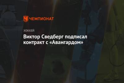 Виктор Сведберг подписал контракт с «Авангардом» - championat.com - Москва - Рига - Омск