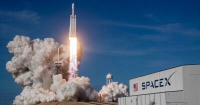 Илон Маск - Астронавты помогут: SpaceX отправит в космос эксперименты школьников из Украины - focus.ua - США - Украина