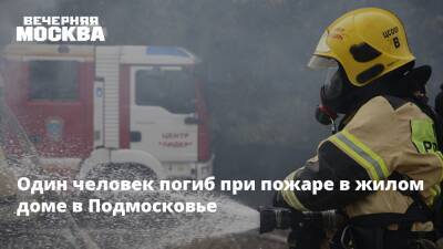 Один человек погиб при пожаре в жилом доме в Подмосковье - vm.ru - Москва - Россия - Московская обл.