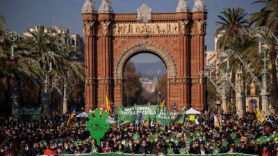 Франсиско Франко - Каталонцы вышли на массовые протесты против расширения использования испанского в школах - unn.com.ua - Украина - Киев - Испания - Каталония - Протесты