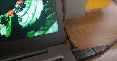 Инженеры создали USB-устройство, которое "убивает" ноутбук при извлечении кабеля (видео) - focus.ua - Украина