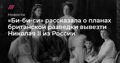 Николай II - Николай - «Би-би-си» рассказала о планах британской разведки вывезти Николая II из России - tvrain.ru - Россия - Англия - Дания
