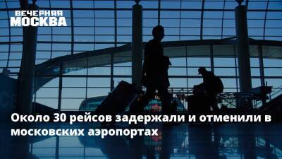 Андрей Бочкарев - Роман Гусаров - Около 30 рейсов задержали и отменили в московских аэропортах - vm.ru - Москва - Москва