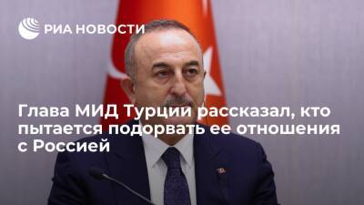 Владимир Путин - Мевлют Чавушоглу - Андрей Карлов - Глава МИД Чавушоглу: многие центры силы хотят подорвать сотрудничество Турции с Россией - ria.ru - Москва - Россия - США - Турция - Анкара - Москва