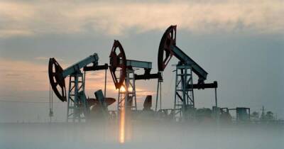 Эксперт предсказал падение цены на нефть в 2022 году - ren.tv - США