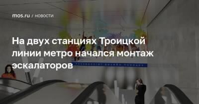 Андрей Бочкарев - На двух станциях Троицкой линии метро начался монтаж эскалаторов - mos.ru - Москва