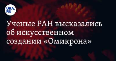 Виталий Зверев - Петр Чумаков - Ученые РАН высказались об искусственном создании «Омикрона» - ura.news - Россия