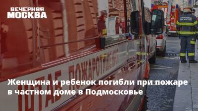 Женщина и ребенок погибли при пожаре в частном доме в Подмосковье - vm.ru - Московская обл. - городское поселение Пушкинский - Московская область