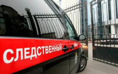 Житель Карелии получил почти 10 лет за убийство приятеля - gubdaily.ru - республика Карелия