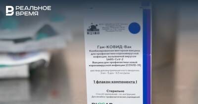 Максим Платонов - Главное о коронавирусе на 19 декабря: куда исчезают антитела, почему ВОЗ не регистрирует «Спутник» - realnoevremya.ru - респ. Татарстан - Казань - Татарстан