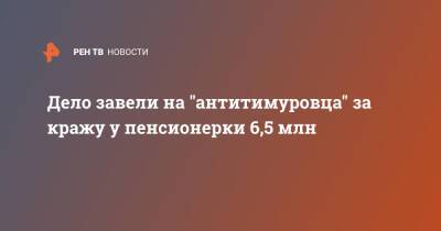 Дело завели на "антитимуровца" за кражу у пенсионерки 6,5 млн - ren.tv - Москва - Москва