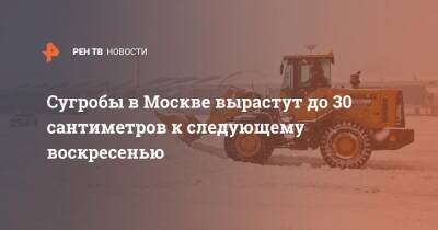 Евгений Тишковец - Сугробы в Москве вырастут до 30 сантиметров к следующему воскресенью - ren.tv - Москва - Россия - Московская обл.