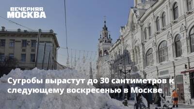 Евгений Тишковец - Сугробы вырастут до 30 сантиметров к следующему воскресенью в Москве - vm.ru - Москва - Москва