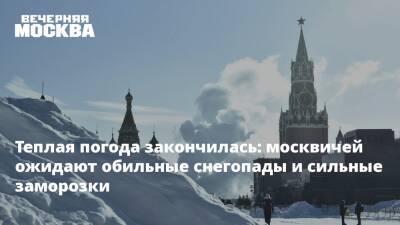 Татьяна Позднякова - Мороз - Теплая погода закончилась: москвичей ожидают обильные снегопады и сильные заморозки - vm.ru - Москва - Россия