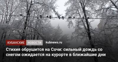 Стихия обрушится на Сочи: сильный дождь со снегом ожидается на курорте в ближайшие дни - kubnews.ru - Сочи - Краснодарский край - Сочи