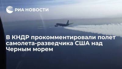 МИД КНДР: провокация самолета-разведчика США над Черным морем подрывает глобальный мир - ria.ru - Москва - Россия - США - КНДР - Черное Море