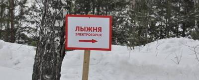 В Электрогорске обустроят три городские лыжные трассы - runews24.ru - Электрогорск