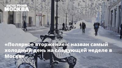 Евгений Тишковец - «Полярное вторжение»: назван самый холодный день на следующей неделе в Москве - vm.ru - Москва - Россия - Москва