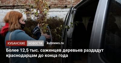 Более 12,5 тыс. саженцев деревьев раздадут краснодарцам до конца года - kubnews.ru - Краснодарский край - Краснодар - Краснодар - Экология