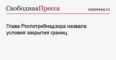 Анна Попова - Глава Роспотребнадзора назвала условия закрытия границ - svpressa.ru - Москва - Россия - Санкт-Петербург - Московская обл.