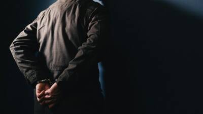 Владислав Клюшин - Швейцария - «Его держали на прицеле»: бизнесмена Клюшина экстрадировали в США - 5-tv.ru - Россия - США - Швейцария