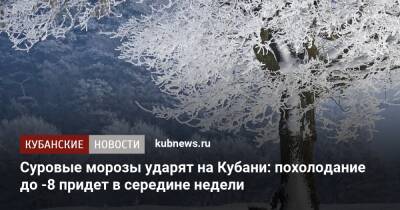 Суровые морозы ударят на Кубани: похолодание до -8 придет в середине недели - kubnews.ru - Россия - Краснодарский край - Краснодар