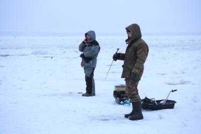 Бесстрашные рыбаки отказываются покидать тонкий лед в Красносельском районе - neva.today - Санкт-Петербург - район Красносельский, Санкт-Петербург