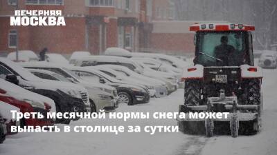 Треть месячной нормы снега может выпасть в столице за сутки - vm.ru - Москва