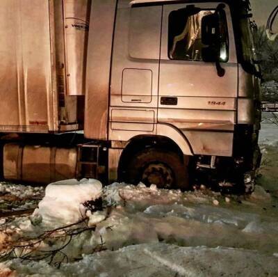 Фура с 20 тоннами мяса попала в ДТП в Нижнем Новгороде - vgoroden.ru - Нижний Новгород